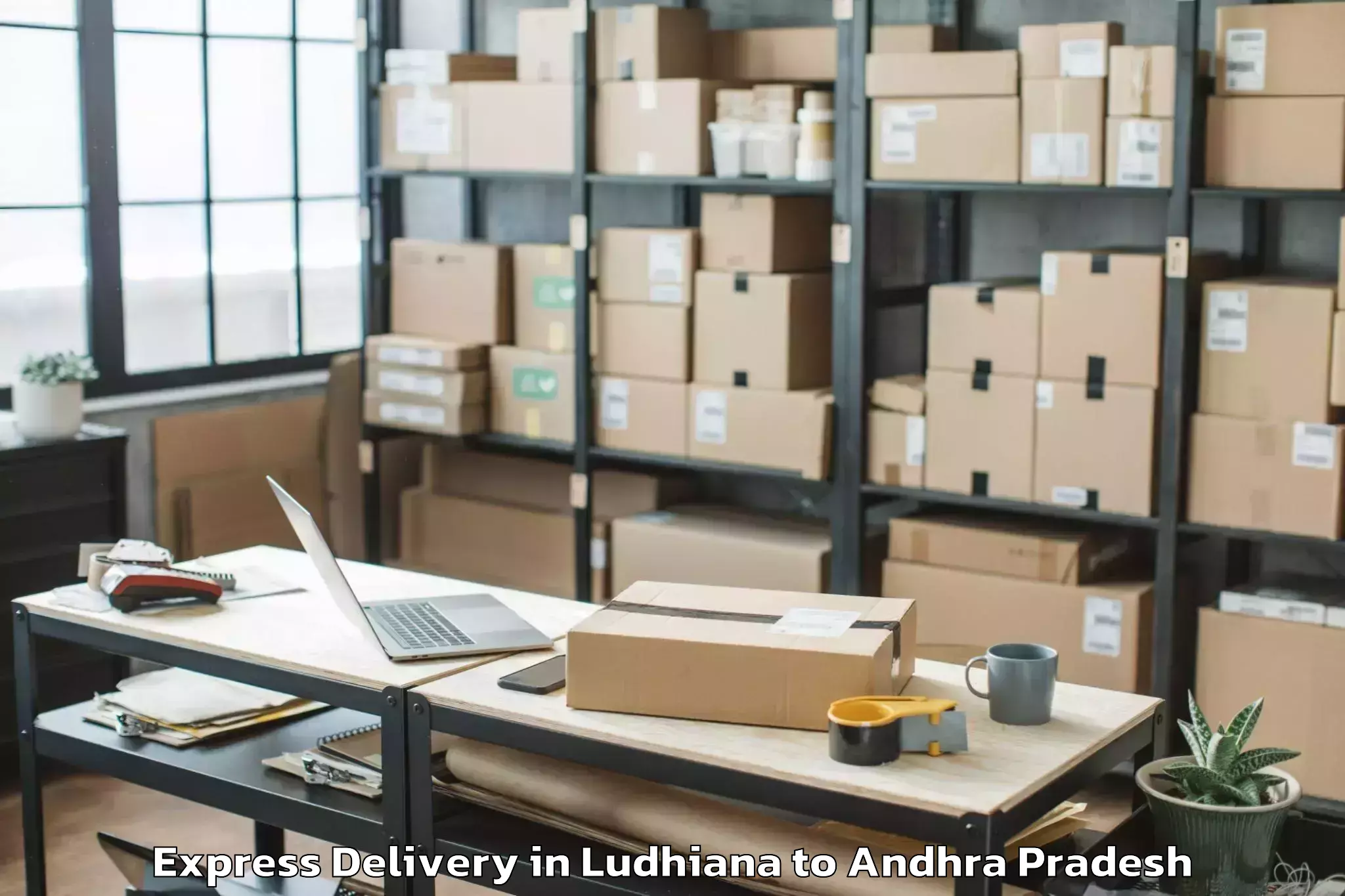 Professional Ludhiana to Jeelugu Milli Express Delivery